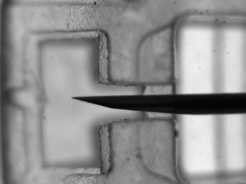 High Precision Medical Inspection